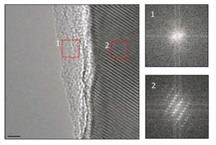 초임계 carbon coating된 LiMn1-xFeXPO4 의 입자 표면 TEM image 분석