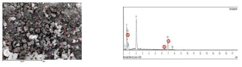 Elemental mapping and EDX of Li2Co0.95Fe0.05PO4F sample