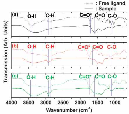 FT-IR absorption spectra: