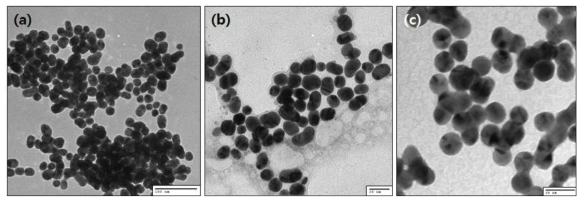 (a) 금나노입자, (b) DTPA 리간드 및 (c) DTPA에 가돌리늄이 결합된 리간드로 표면 수식된 나노구 조체의 TEM 사진.