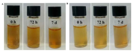 암세포 조직의 pH 환경인 산성 환경에서의 나노 입자의 안정성 실험 사진.