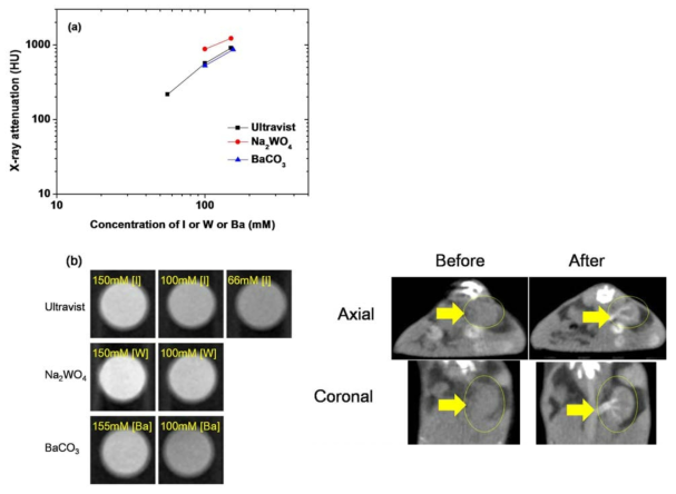 Na2WO4 및 BaCO3 나노입자 용액의 (a) X-ray attenuation plot, (b) phantom 이미지, (c) Na2WO4 나노입자 용액의 in vivo CT 이미지.