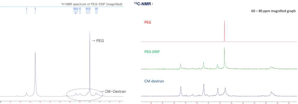 유기분자가 포함된 덱스트란 나노입자(PEG-DNP)의 1H-NMR과 13C-NMR 결과