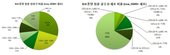 EL4 흉선종 이식으로 발생한 암 조직 침윤 면역세포의 비율