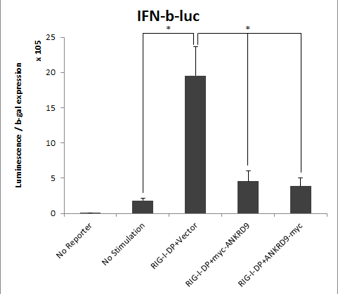 ANKRD9 일시적 과발현에 의한 IFN-β 발현억제 Luciferase 정량분석. (* p < 0.05)