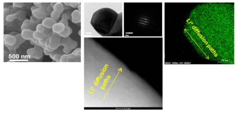 신규 Li-, Mn-rich NMC 소재 (NSL-LLMO) SEM, HR STEM 및 EDS mapping