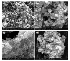 Nano-composite (a) bare sample, (b) 0.8 wt% sample, (c), (d) 0.4 wt% sample의 SEM image