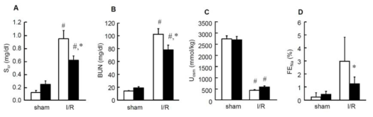 Serum creatinine (Scr, A), blood urea nitrogen (BUN, B), urine osmolality (Uosm, C), and fractional excretion of sodium (FENa, D) in TonEBP+/Δ (filled bars) mice and their TonEBP+/+ littermates (open bars) and after I/R or sham treatment of kidneys. Mean ± SE, n = 8. *p<0.05 vs. corresponding +/+. #p<0.05 vs. corresponding sham.