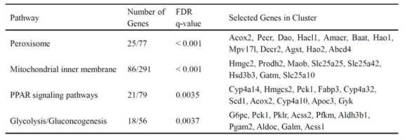 Pathways of genes whose renal expression is higher in the TonEBP+/Δ mice compared to their TonEBP+/+ littermates after IR.