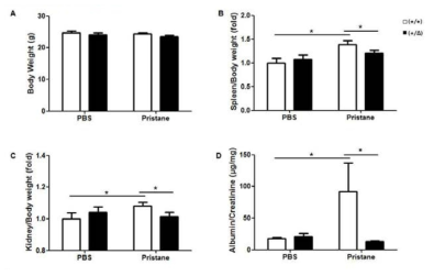 Basic parameters of pristane-induced lupus mouse model