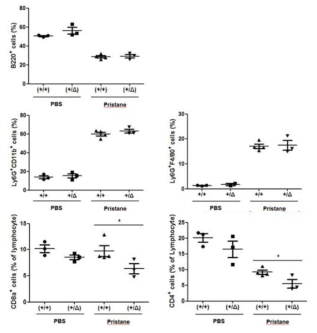 Profiling of immune cells in pristane-induced lupus mouse model