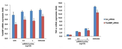 Reduced TNF-α expression in TonEBP-deficient RAW264.7 cells