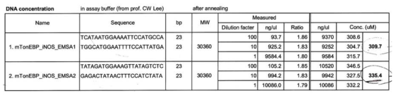 TonEBP / DNA 결합세기 측정에 사용된 DNA