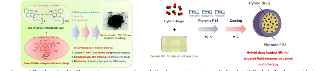 다중 치료가 가능한 hybrid prodrug 제조 방법 및 hybrid prodrug 함유 나노약물전달체 제조 모식도