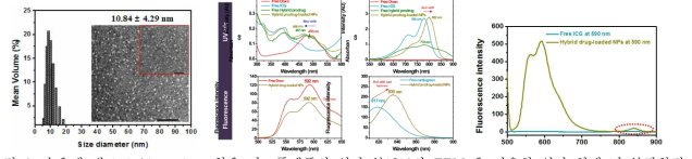 수용액 내 hybrid prodrug 함유 나노플랫폼의 입자 분포도와 TEM 을 이용한 입자 형태 및 분광학적 비교 평가