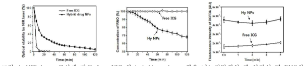 NIR laser 조사에 따른 free ICG 와 hybrid prodrug 함유 나노전달체의 광 안정성 및 RNO와 DCFDA를 이용한 PDT 효능.