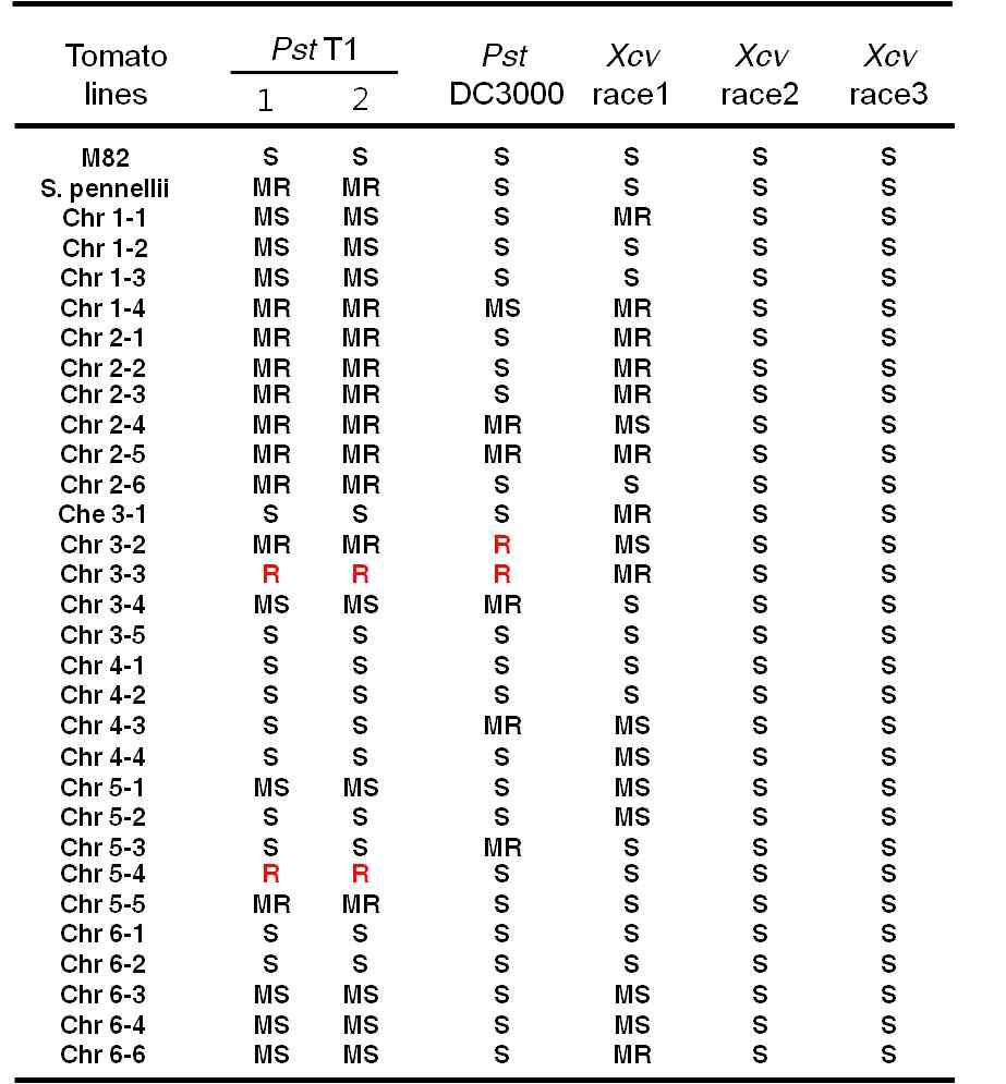 52개의 야생 토마토 제놈 라이브러리 식물에서 병 저항성 반응의 재평가