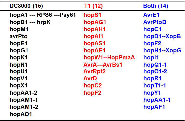 a survey of of the Pseudomonas syringae pv. tomato effectors repertoire