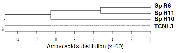 Predicted amino acid sequence and alignment of candidated resistance genes from Solanum pennellii