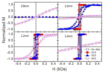 Hf/CoFeB/MgO/Ta 박막의 두께 및 열처리 온도에 따른 자기이력곡선 측정 결과