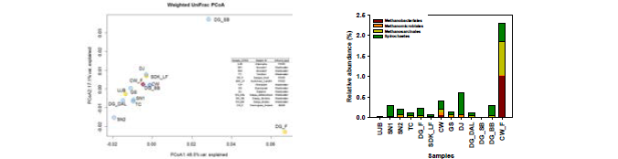 PCoA plot분석 및 Spirochaetes/메탄생성 고세균 군집의 시료별 다양성 분석
