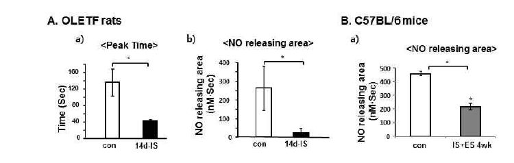 NO microsensor를 이용한 아세틸콜린에 의한 NO 생성능의 변화.