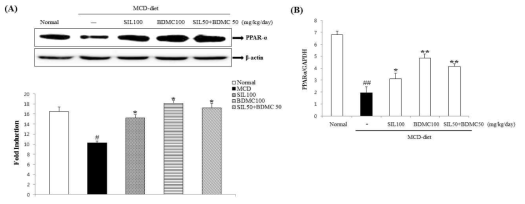 Effects on 5' AMP-activated protein kinase (AMPK) phosphorylation.