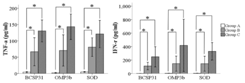 Bacterial proliferation in spleen of mice challenged with a wild-type B. abortus strain 544.