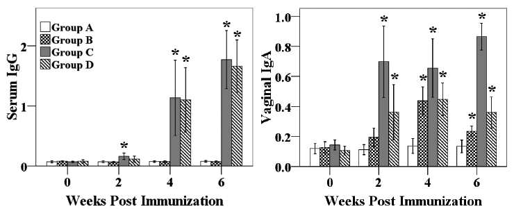 Serum IgG (μg/ml) and vaginal IgA (μg/ml) titers against Brucella abortus 1119-3 LPS in mice intraperitoneally or orally immunized with each vaccine candidate.