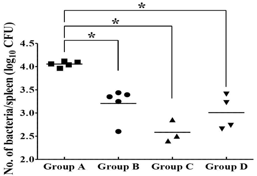 Protection against B. abortus strain 544 in mice immunized with B. abortus strain RB51 or B. abortus ghost cells.