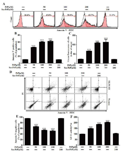 PrP (106-126) treatment induced neuronal cytotoxicity.