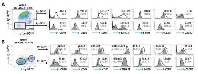 IFNs-I signal pathway의 CD11b+Ly-6Chigh 및 CD11b+Ly-6Clow monocyte의 분화에 대한 영향 분석.