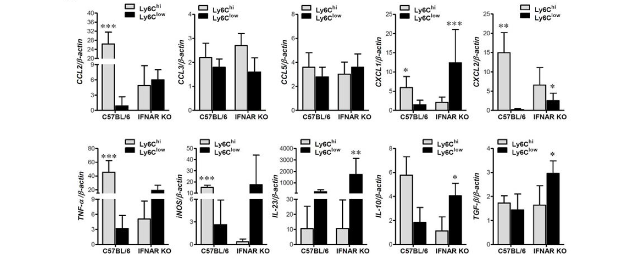 IFNs-I signal pathway의 CD11b+Ly-6Chigh 및 CD11b+Ly-6Clow monocyte의 사이토카인 및 케모카인 발현 분석.