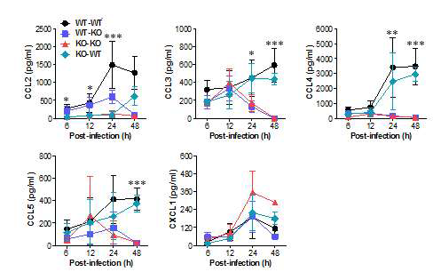 Chemokine secretion in vaginal lavages of the recipients.