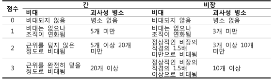 병리소견 평가 기준