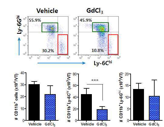 Selective inhibition of resident CD11bhiF4/80hi macrophages by GdCl3 reduces early infiltration of CD11b+Ly-6Chi monocytes and NK cells.