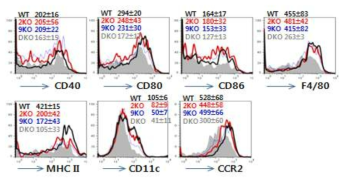 TLR signa pathway의 Ly-6Chigh monocyte 유래 Tip-DC 분화된 Tip-DC의 phenotype.