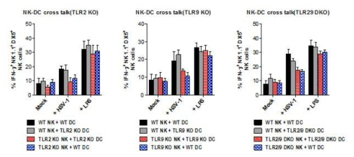 TLR signal pathway의 NK-DC crosstalk에 대한 영향 분석.