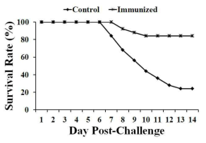 Survival rates in chickens of the immunized and control groups challenged with a wild type Salmonella Gallinarum, JOL422.