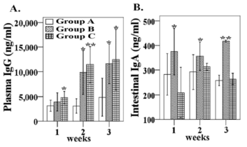 The plasma IgG and intestinal sIgA levels in chickens against the outer membrane protein (OMP).