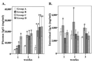 The plasma IgG and intestinal sIgA levels in chickens against the outer membrane protein (OMP).