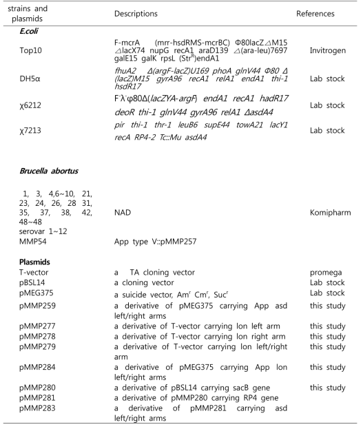 Bacterial strains and plasmids used in this study