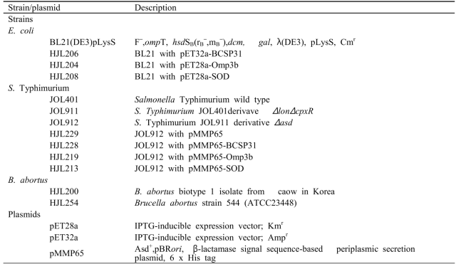 Bacterial strains and plasmid used in this study.