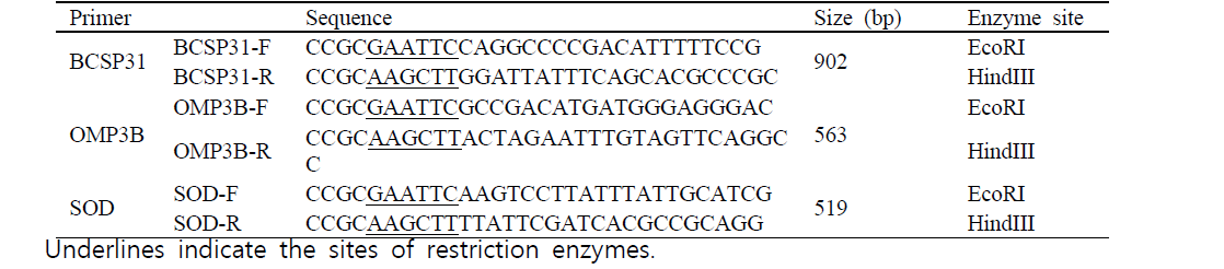 PCR primers used in this study and their product sizes.