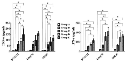 Cytokine titers in the splenocytes at 3 WPI. Groups A, B, C, D and E refer to Fig. 2.