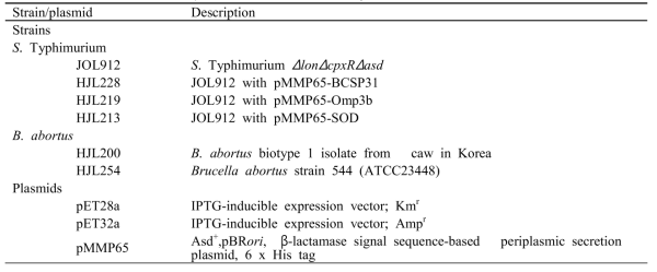 Bacterial strains and plasmid used in this study.