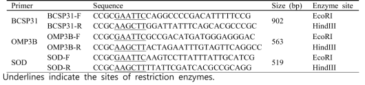 PCR primers used in this study and their product sizes.