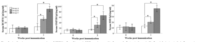 Antibody responses against BCSP31, Omp3b and SOD antigens.