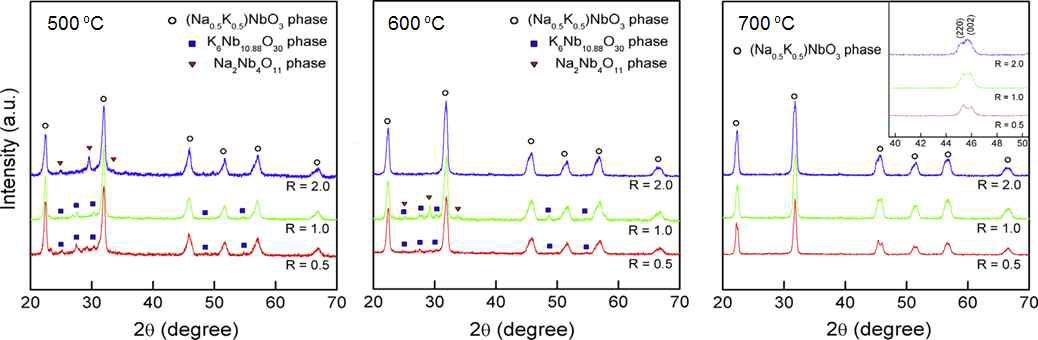 PAA 투입량과 합성온도에 따른 NKN 나노입자의 XRD patterns.