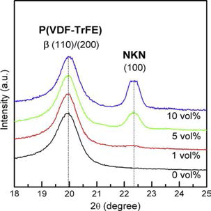 NKN 나노입자의 함량에 따른 NKN/P(VDF-TrFE) 복합체의 XRD patterns.